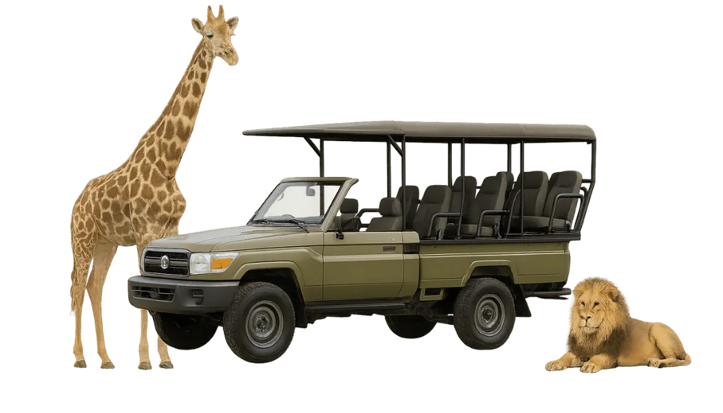 SUV & Minibus